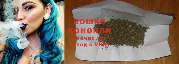 spice Козельск