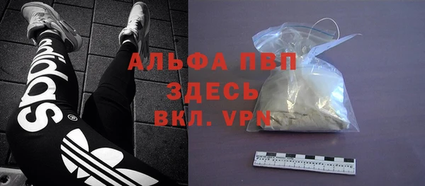 индика Киреевск