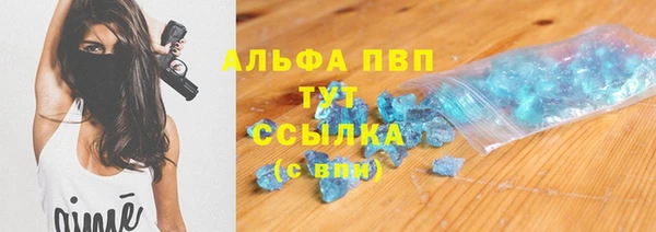 индика Киреевск