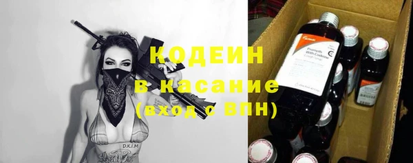 индика Киреевск