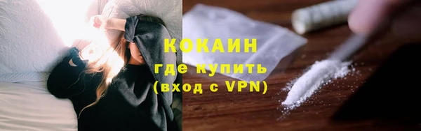индика Киреевск