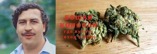 spice Козельск