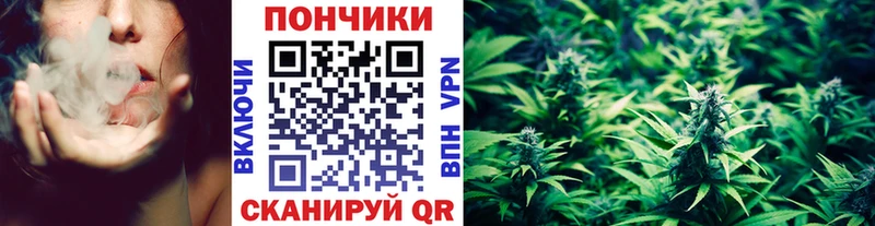 Бошки марихуана OG Kush  магазин продажи   Межгорье 